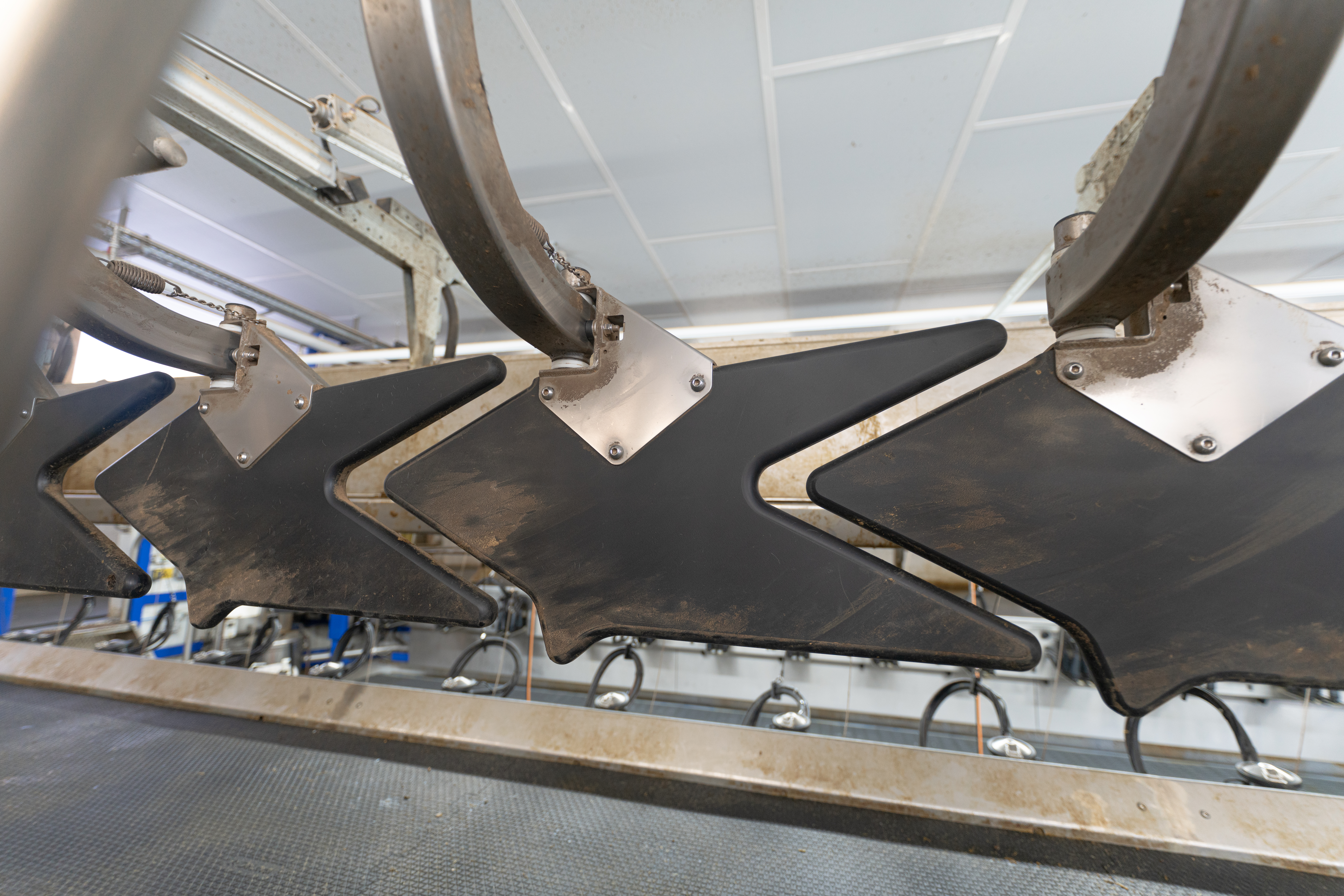 DeLaval P500 - SynchroSweep™