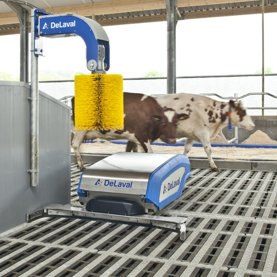 DeLaval RS450 im Einsatz im Neubau.