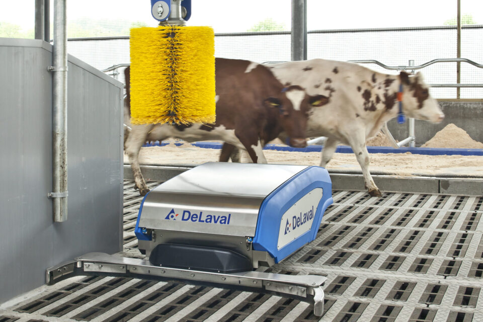 Spaltenschieberoboter RS450 im Neubau
