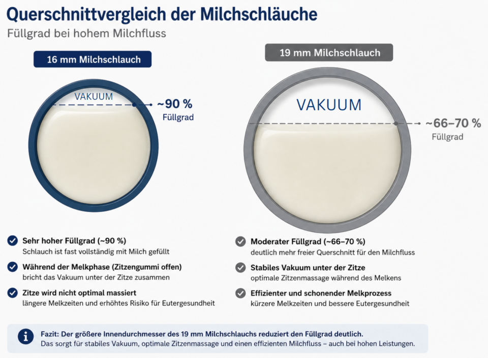 Querschnittvergleich Milchschläuche
